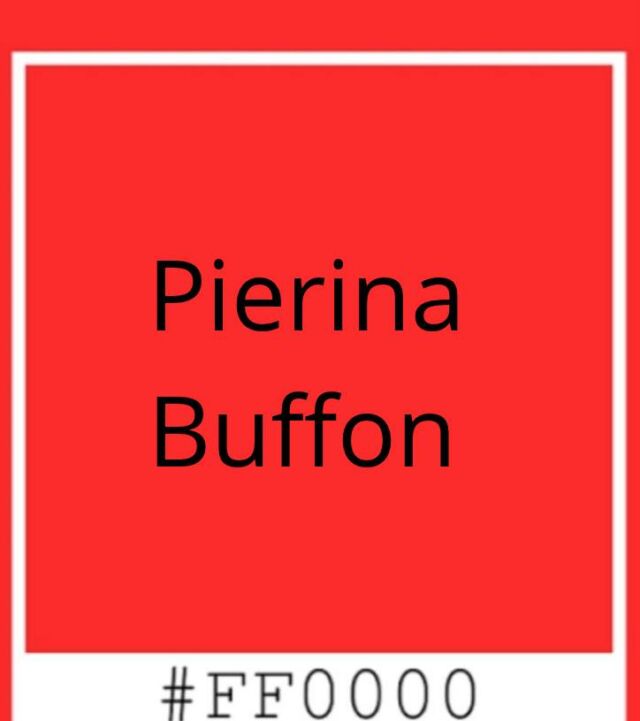 #stalking #possesso #patriarcato #culturapatriarcale #nonaccettazione Pierina Buffon 69 anni... Sei figli.Vedova.Aveva deciso di chiudere una relazione durata otto anni.È morta sulla tangenziale di Cassano Magnago, nel Varesotto, in uno scontro frontale con l'auto dell'ex compagno, di 73 anni.Gli inquirenti ipotizzano che l'impatto sia stato voluto, e che lui la seguisse con un localizzatore Gps. L'uomo è indagato e le responsabilità dovranno essere accertate.Ci sono cose che sappiamo già, e che non dipendono dall'esito del processo:Pierina lo aveva lasciato;Pierina lo aveva denunciato;Pierina è morta lo stesso!Il momento in cui una donna chiude una relazione è considerato dai centri antiviolenza uno dei più rischiosi.Non basta che si trovi il coraggio: serve che qualcuno, lo Stato per esempio, lo trasformi in sicurezza.Che cosa serve perché una denuncia diventi davvero una tutela?𝙎𝙚 𝙫𝙞𝙫𝙞 𝙤 𝙘𝙤𝙣𝙤𝙨𝙘𝙞 𝙪𝙣𝙖 𝙨𝙞𝙩𝙪𝙖𝙯𝙞𝙤𝙣𝙚 𝙙𝙞 𝙫𝙞𝙤𝙡𝙚𝙣𝙯𝙖, 𝙘𝙝𝙞𝙖𝙢𝙖 𝙞𝙡 1522, 𝙜𝙧𝙖𝙩𝙪𝙞𝙩𝙤 𝙚 𝙖𝙩𝙩𝙞𝙫𝙤 24 𝙤𝙧𝙚 𝙨𝙪 24.#PierinaBuffon #violenzasulledonne #femminicidio #CodiceKairòs